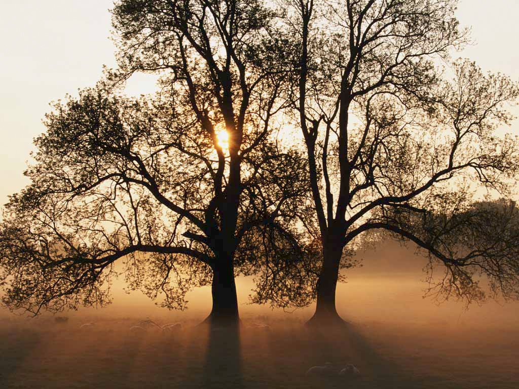 A silent surround by beautiful nature